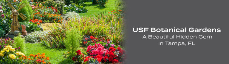 USF Botanical Gardens: A Beautiful Hidden Gem In Tampa, FL